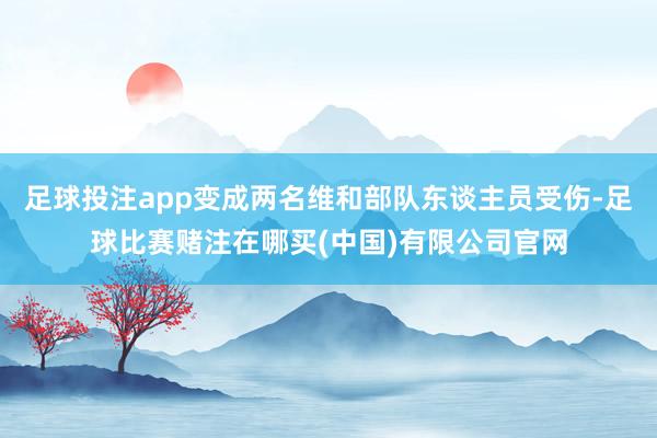 足球投注app变成两名维和部队东谈主员受伤-足球比赛赌注在哪买(中国)有限公司官网