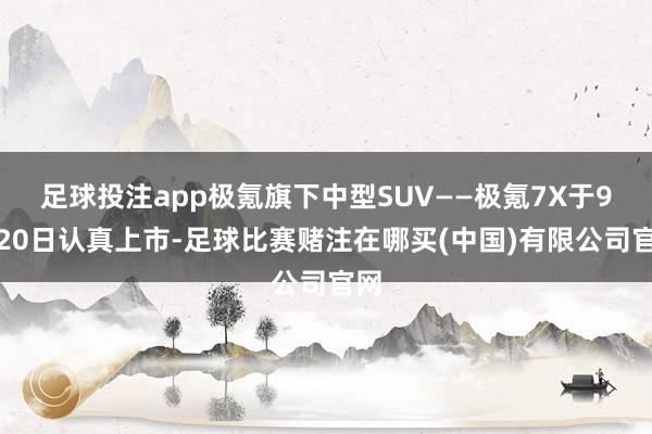 足球投注app极氪旗下中型SUV——极氪7X于9月20日认真上市-足球比赛赌注在哪买(中国)有限公司官网