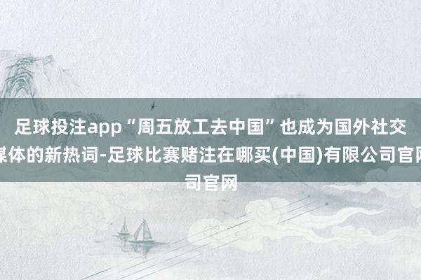 足球投注app“周五放工去中国”也成为国外社交媒体的新热词-足球比赛赌注在哪买(中国)有限公司官网