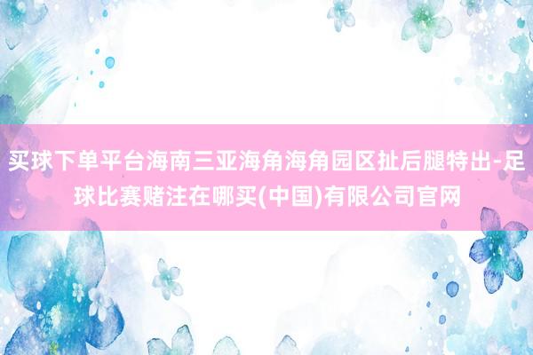 买球下单平台海南三亚海角海角园区扯后腿特出-足球比赛赌注在哪买(中国)有限公司官网