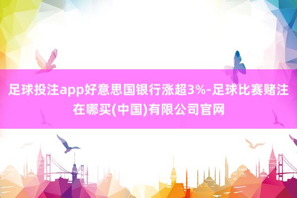 足球投注app好意思国银行涨超3%-足球比赛赌注在哪买(中国)有限公司官网