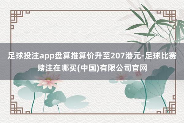 足球投注app盘算推算价升至207港元-足球比赛赌注在哪买(中国)有限公司官网
