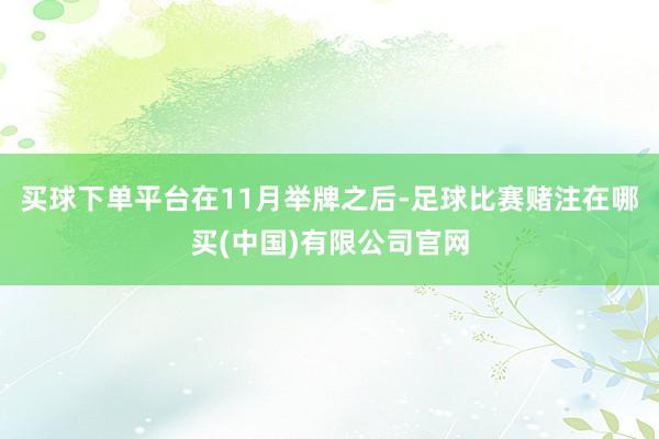 买球下单平台　　在11月举牌之后-足球比赛赌注在哪买(中国)有限公司官网