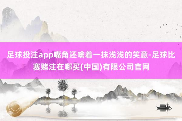 足球投注app嘴角还噙着一抹浅浅的笑意-足球比赛赌注在哪买(中国)有限公司官网