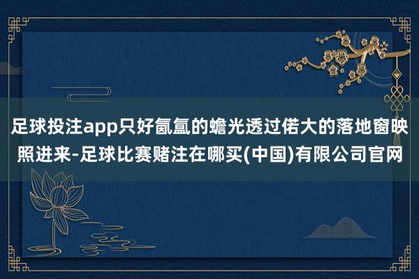 足球投注app只好氤氲的蟾光透过偌大的落地窗映照进来-足球比赛赌注在哪买(中国)有限公司官网