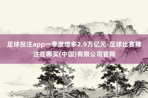 足球投注app一季度增多2.9万亿元-足球比赛赌注在哪买(中国)有限公司官网