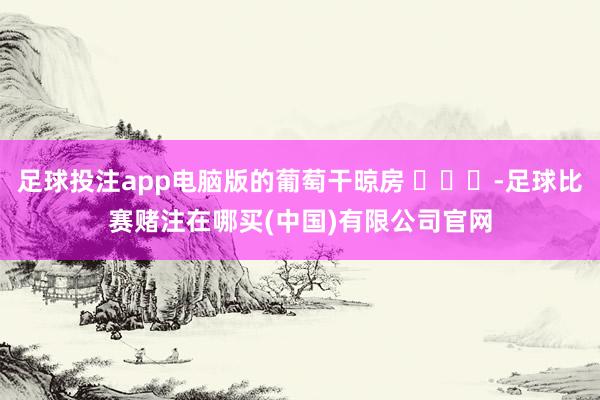 足球投注app电脑版的葡萄干晾房 ​​​-足球比赛赌注在哪买(中国)有限公司官网