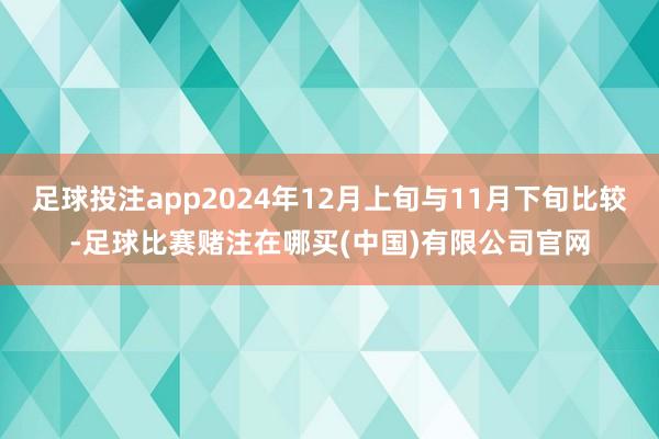 足球投注app2024年12月上旬与11月下旬比较-足球比赛赌注在哪买(中国)有限公司官网