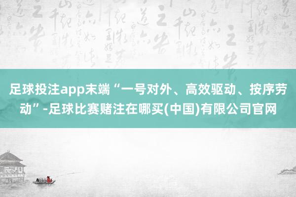足球投注app末端“一号对外、高效驱动、按序劳动”-足球比赛赌注在哪买(中国)有限公司官网