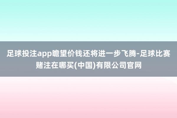 足球投注app瞻望价钱还将进一步飞腾-足球比赛赌注在哪买(中国)有限公司官网