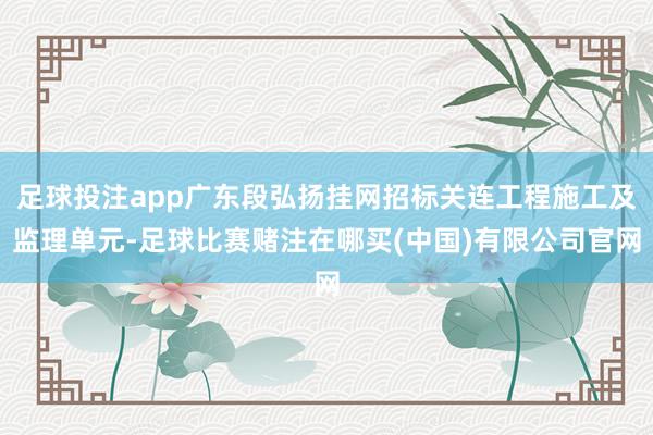 足球投注app广东段弘扬挂网招标关连工程施工及监理单元-足球比赛赌注在哪买(中国)有限公司官网