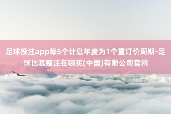足球投注app每5个计息年度为1个重订价周期-足球比赛赌注在哪买(中国)有限公司官网