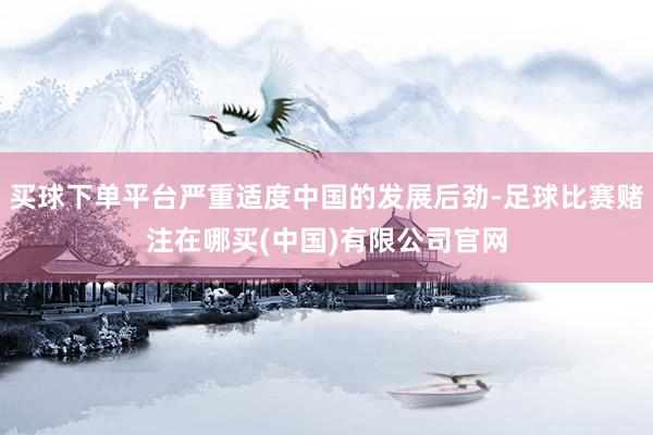 买球下单平台严重适度中国的发展后劲-足球比赛赌注在哪买(中国)有限公司官网