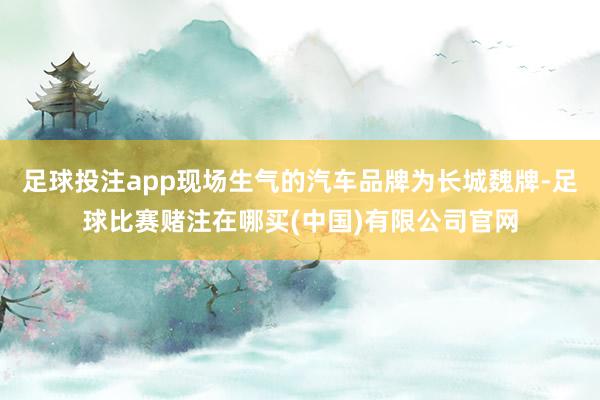 足球投注app现场生气的汽车品牌为长城魏牌-足球比赛赌注在哪买(中国)有限公司官网