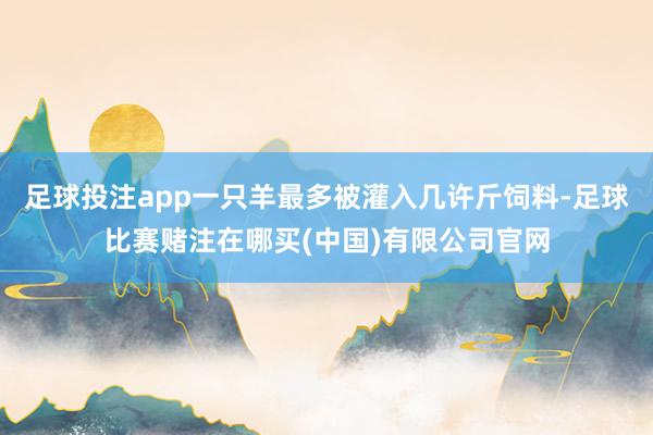 足球投注app一只羊最多被灌入几许斤饲料-足球比赛赌注在哪买(中国)有限公司官网