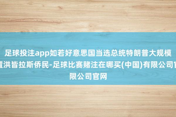 足球投注app如若好意思国当选总统特朗普大规模放置洪皆拉斯侨民-足球比赛赌注在哪买(中国)有限公司官网