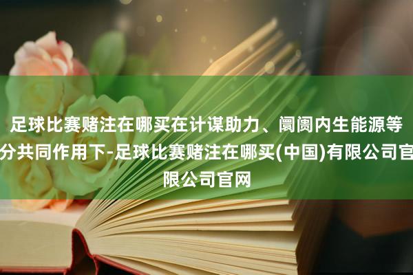 足球比赛赌注在哪买在计谋助力、阛阓内生能源等身分共同作用下-足球比赛赌注在哪买(中国)有限公司官网