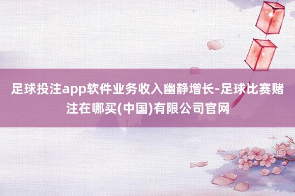 足球投注app软件业务收入幽静增长-足球比赛赌注在哪买(中国)有限公司官网