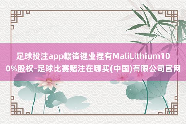 足球投注app赣锋锂业捏有MaliLithium100%股权-足球比赛赌注在哪买(中国)有限公司官网
