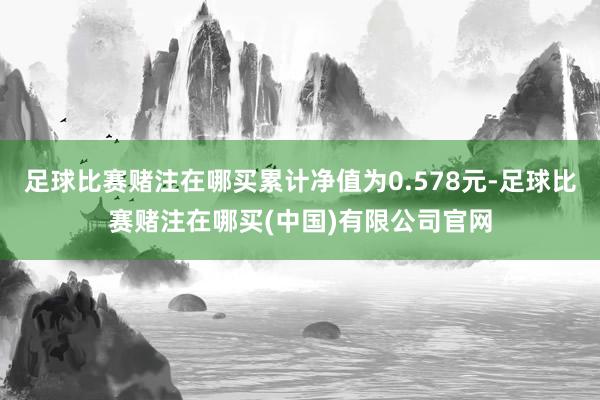 足球比赛赌注在哪买累计净值为0.578元-足球比赛赌注在哪买(中国)有限公司官网