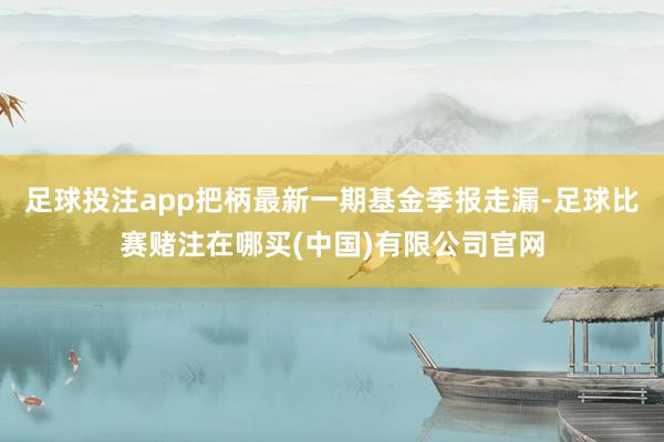 足球投注app把柄最新一期基金季报走漏-足球比赛赌注在哪买(中国)有限公司官网