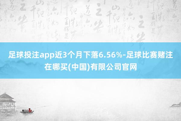 足球投注app近3个月下落6.56%-足球比赛赌注在哪买(中国)有限公司官网