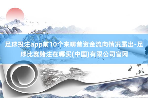 足球投注app前10个来畴昔资金流向情况露出-足球比赛赌注在哪买(中国)有限公司官网