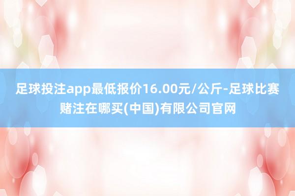 足球投注app最低报价16.00元/公斤-足球比赛赌注在哪买(中国)有限公司官网