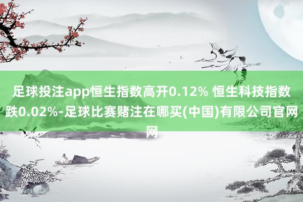 足球投注app恒生指数高开0.12% 恒生科技指数跌0.02%-足球比赛赌注在哪买(中国)有限公司官网