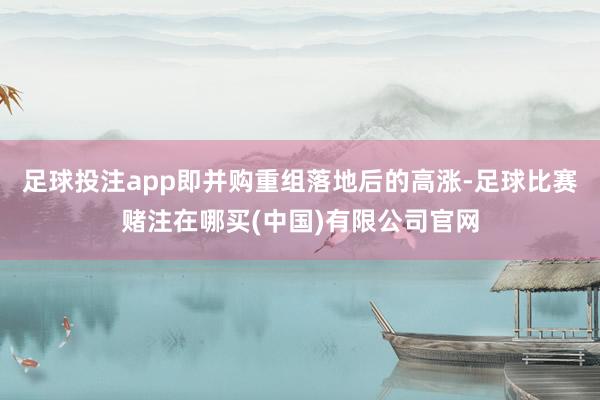 足球投注app即并购重组落地后的高涨-足球比赛赌注在哪买(中国)有限公司官网