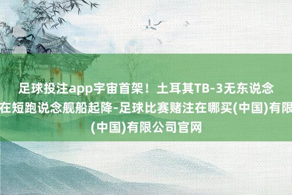 足球投注app宇宙首架！土耳其TB-3无东说念主机公开在短跑说念舰船起降-足球比赛赌注在哪买(中国)有限公司官网