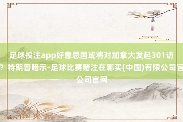 足球投注app好意思国或将对加拿大发起301访问？特朗普暗示-足球比赛赌注在哪买(中国)有限公司官网