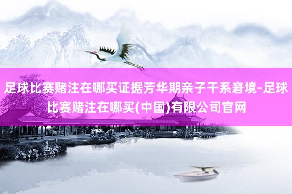 足球比赛赌注在哪买证据芳华期亲子干系窘境-足球比赛赌注在哪买(中国)有限公司官网