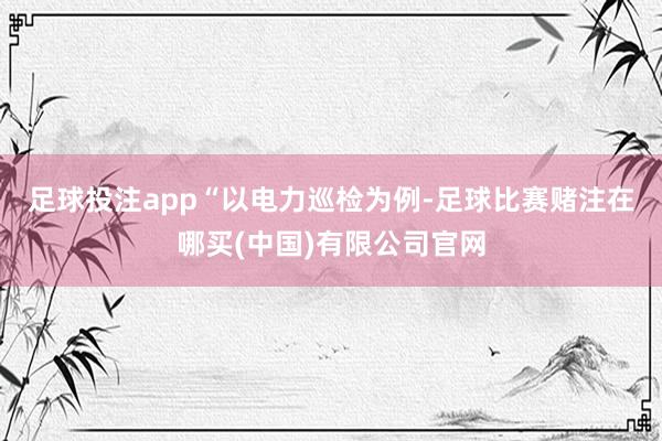 足球投注app　　“以电力巡检为例-足球比赛赌注在哪买(中国)有限公司官网