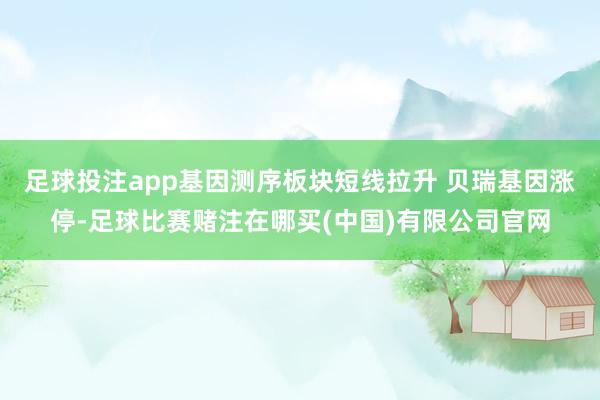 足球投注app基因测序板块短线拉升 贝瑞基因涨停-足球比赛赌注在哪买(中国)有限公司官网
