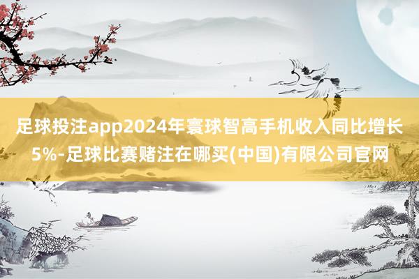 足球投注app2024年寰球智高手机收入同比增长5%-足球比赛赌注在哪买(中国)有限公司官网