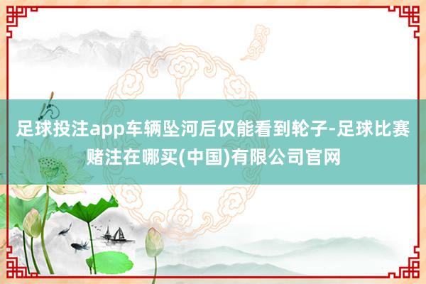 足球投注app车辆坠河后仅能看到轮子-足球比赛赌注在哪买(中国)有限公司官网
