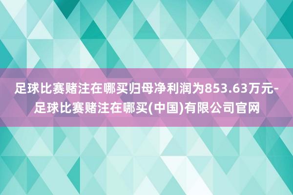 足球比赛赌注在哪买归母净利润为853.63万元-足球比赛赌注在哪买(中国)有限公司官网