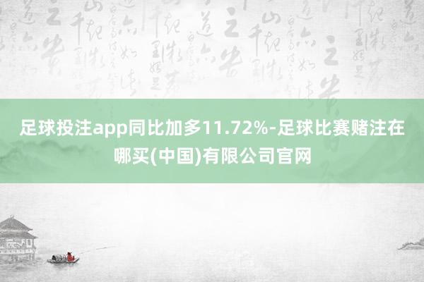 足球投注app同比加多11.72%-足球比赛赌注在哪买(中国)有限公司官网