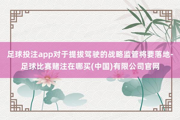 足球投注app对于提拔驾驶的战略监管将要落地-足球比赛赌注在哪买(中国)有限公司官网