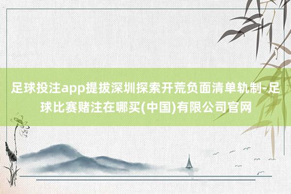 足球投注app提拔深圳探索开荒负面清单轨制-足球比赛赌注在哪买(中国)有限公司官网