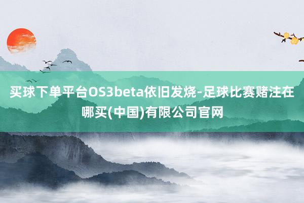 买球下单平台OS3beta依旧发烧-足球比赛赌注在哪买(中国)有限公司官网