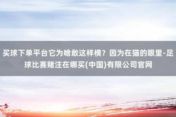 买球下单平台它为啥敢这样横？因为在猫的眼里-足球比赛赌注在哪买(中国)有限公司官网