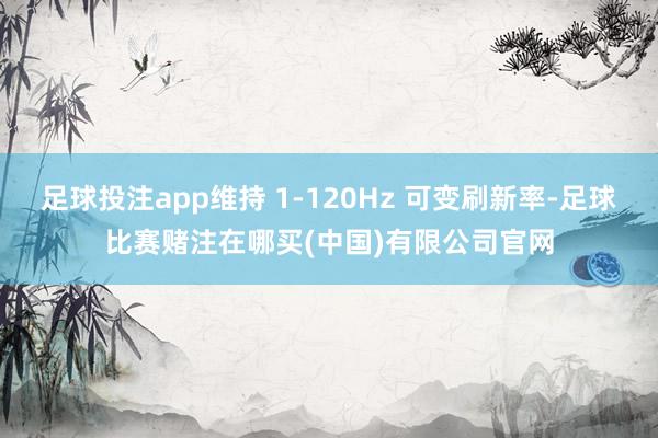 足球投注app维持 1-120Hz 可变刷新率-足球比赛赌注在哪买(中国)有限公司官网
