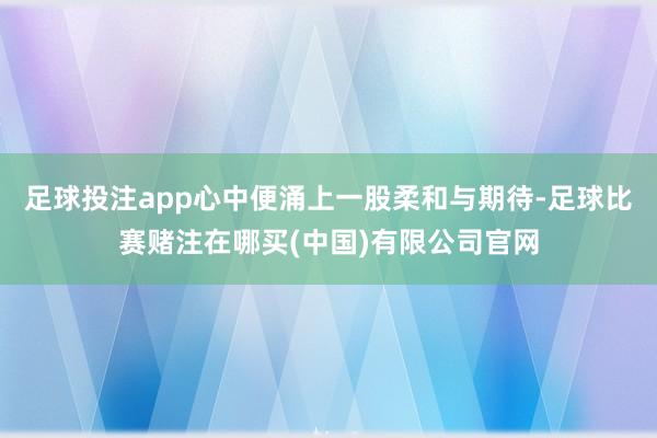 足球投注app心中便涌上一股柔和与期待-足球比赛赌注在哪买(中国)有限公司官网