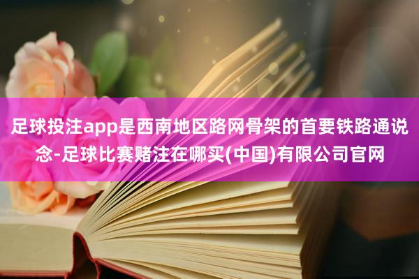 足球投注app是西南地区路网骨架的首要铁路通说念-足球比赛赌注在哪买(中国)有限公司官网