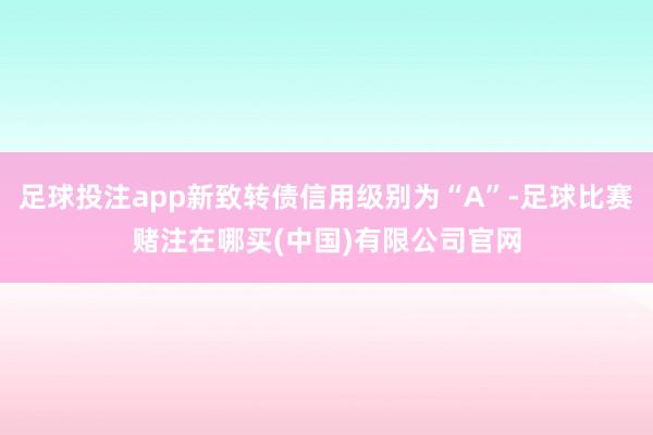 足球投注app新致转债信用级别为“A”-足球比赛赌注在哪买(中国)有限公司官网