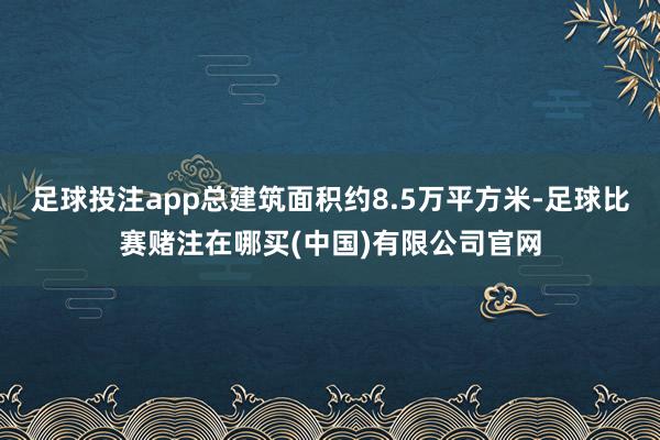 足球投注app总建筑面积约8.5万平方米-足球比赛赌注在哪买(中国)有限公司官网