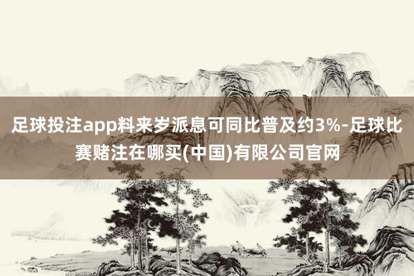 足球投注app料来岁派息可同比普及约3%-足球比赛赌注在哪买(中国)有限公司官网