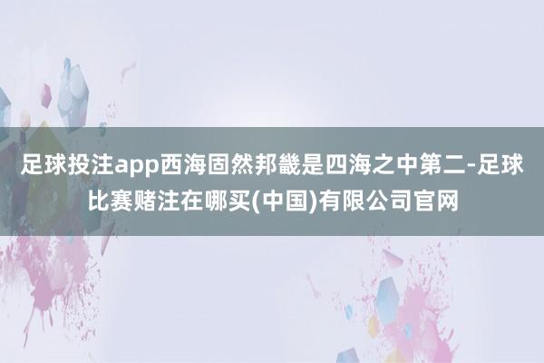足球投注app西海固然邦畿是四海之中第二-足球比赛赌注在哪买(中国)有限公司官网
